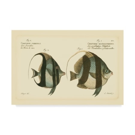 Bloch 'Bloch Antique Fish I' Canvas Art,22x32